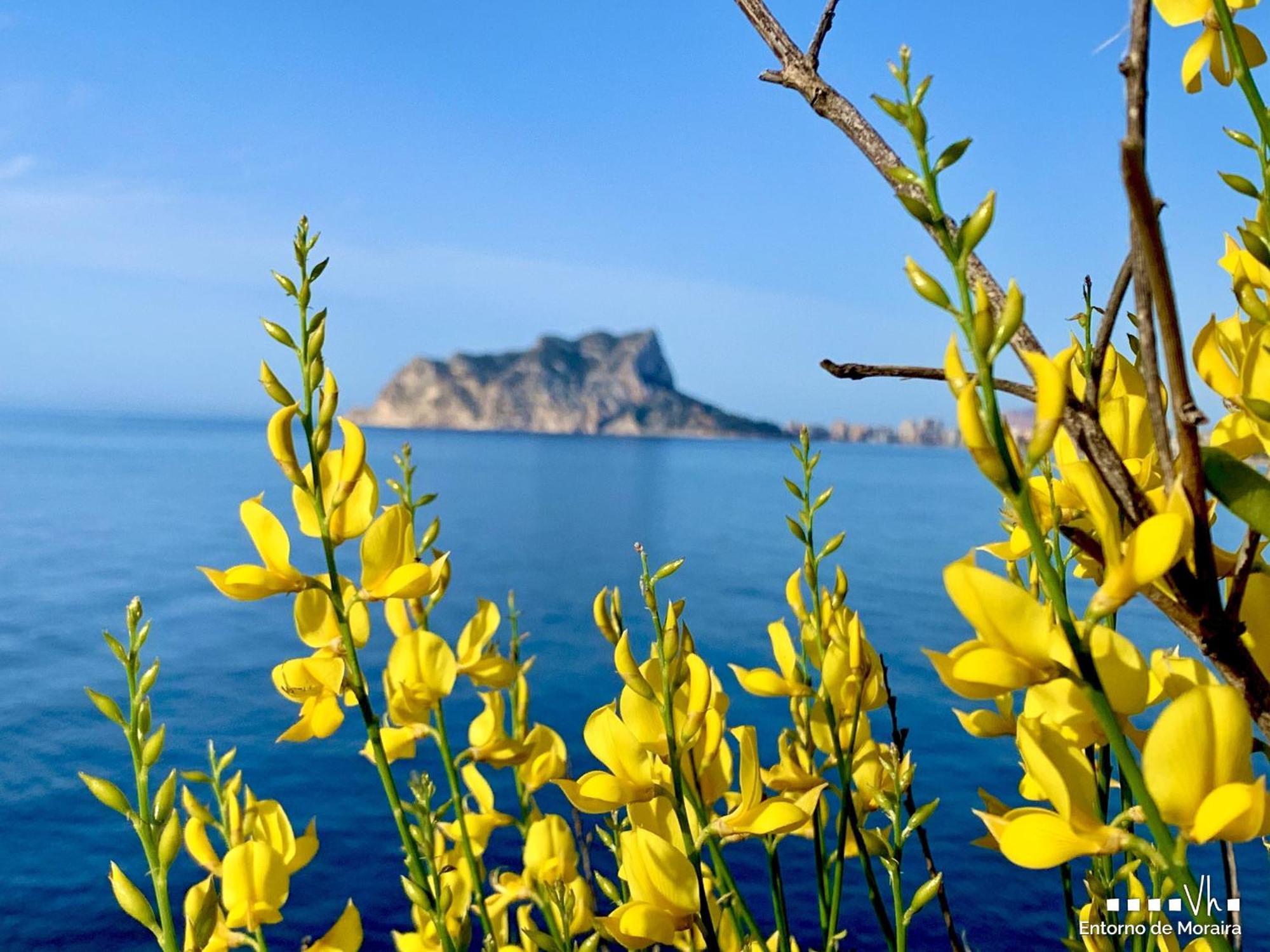 Vh Costablanca - Carmen Villa Moraira Eksteriør bilde